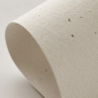 Étiquette personnalisée en papier de marguerite pour savon pour bébé, bande adhésive OEM plantable, emballage doux pour les marques de soins sensibles pour nourrissons