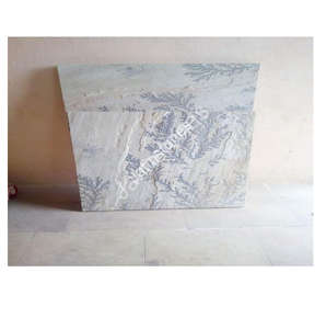 Losas de Piedra Arenisca Fósil de Menta, Piedra Natural para Revestimiento de Paredes, Pisos, Patios, Terrazas, Caminos, Decoración de Exteriores - Product Image 2