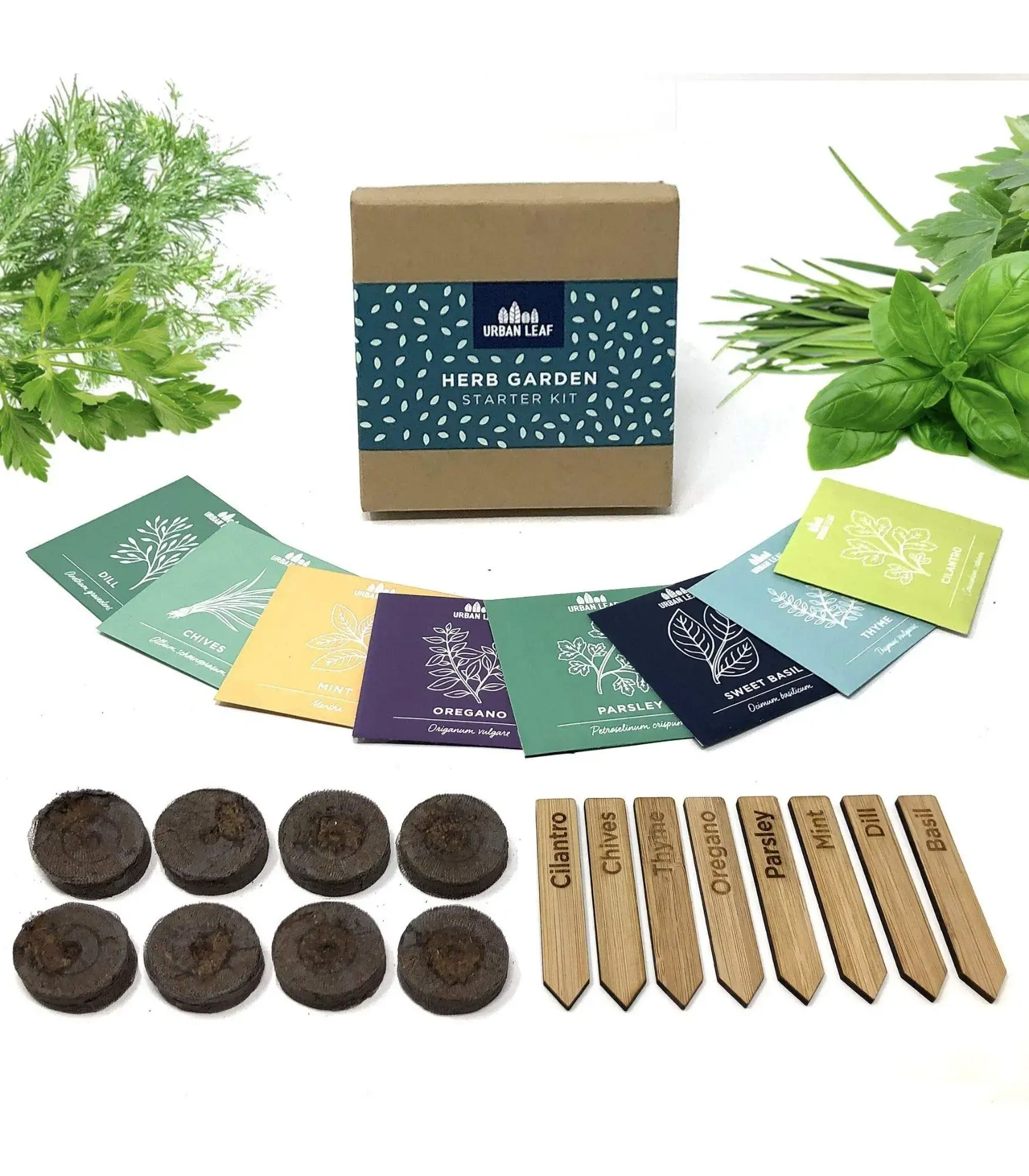 Bibit tanaman herbal organik variasi Basil cilannis Mint peterseli Chives Oregano tanaman Rosemary taman dalam ruangan rumah