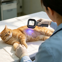 High Precision VW1 Veterinary Wood's Lamp Pet Dog Cat Skin Disease Fungus Detector Portable Magnifying LED Light for Clinic Tool