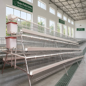 Cage automatique neuve de type 3/4 niveaux pour 2000-3000 poulets, ferme avicole, acier galvanisé, marque HENGQI - Product Image 6
