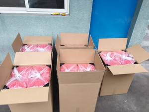 Bloque de Salto Ecuestre de Plástico en Oferta, Apto <span class=keywords><strong>para</strong></span> Entrenamiento y Competiciones - Product Image 6