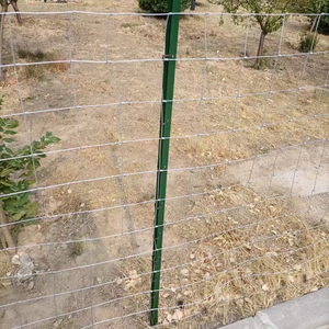 <span class=keywords><strong>Veld</strong></span> Span galvanizado de 1,2 M, alambre de hierro, malla de ganado, bisagra, nudo de junta para rancho, paneles de ganado, campos de arado, uso de la casa - Product Image 1