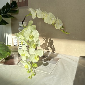 Fleurs artificielles Queyiyi, orchidée Phalaenopsis, 30 cm-100 cm, fleur en soie, décoration d'intérieur, accessoires de photographie - Product Image 3