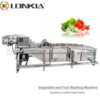 Lonkia Hoge Capaciteit Luchtbel Pruimen Groep Hami Meloen Haw Reinigingsmachines Groene Bladgroente Ozon Wasmachine