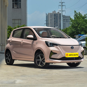 Changan E-Star Mini, véhicule électrique neuf, économique, 5 places, Changan Benben E-star, autonomie 310 km, mini-voiture électrique chinoise à vendre - Product Image 4