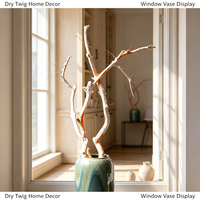 Branche d'oranger blanche naturelle séchée, bois mort, branche sèche pour vase de fenêtre intérieur, décoration de la maison