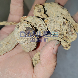 Biomass Pellet Combustion Mesh Belt Ginger Drying Machine Ginger Cleaning and Slicing Drying Processing Line - Product Image 6