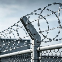 Fil de sécurité concertina haute résistance galvanisé à lames barbelées anti-coupure pour clôtures de frontières, centrales électriques et prisons
