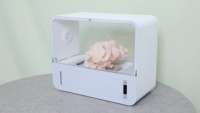 Machine à Champignons de Table Intelligente à Bas Prix, Modèle Champignon Buff, Facile à Utiliser, Blanc & Gris