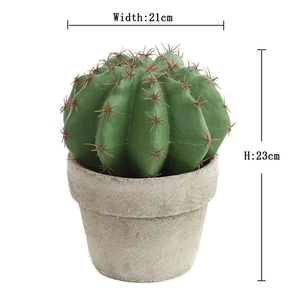 หม้อทรงกระบองเพชรผ้าไหมเทียม,การส่งออกสำหรับ Euphorbia Macetas - Product Image 1