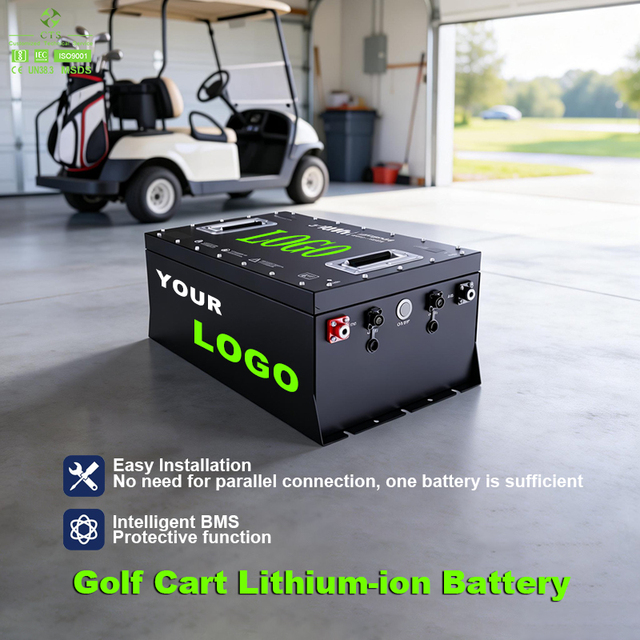 CTS Long Life Span 48V 64V 72V 100Ah 200Ah Battery 50Ah for Golfcart Tricycle Trike NEV
