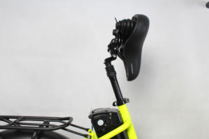 Fourche arrière 250W/350W/500W/750W/1000W et gros pneu personnalisé/montagne/neige/ville 2019/2020/<span class=keywords><strong>2021</strong></span> bic électrique - Product Image 5