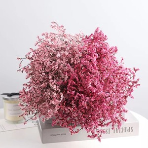 Fiori secchi piante fiori stabilizzati limonium Crystal Grass Bouquet fiore secco a buon mercato all'ingrosso - Product Image 1