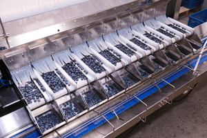 Máquina clasificadora de frutas <span class=keywords><strong>electronica</strong></span> para báscula de embalaje de arándanos con caja de plástico de VSEE Company - Product Image 5