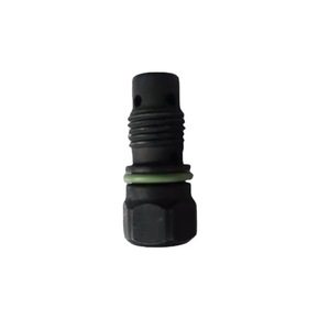 Soupape de décharge F00N200798 pour pompe à huile haute pression, moteur diesel Great Wall JAC Isuzu Cummins, pièce de rechange en métal - Product Image 2