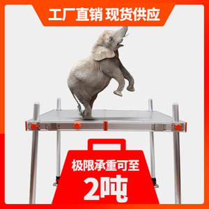 Plataforma de Pesca Multifuncional de Aleación de Aluminio 800x800mm Plegable con Altura Ajustable para Pesca en Estanques y Aguas Dulces - Product Image 4