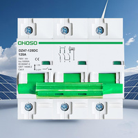 CHOSO DZ47-125 1P2P3P4P 80A100A125A Disjoncteur miniature DC 500V 10kA PA66 Li pour panneaux solaires photovoltaïques Interrupteur sectionneur DIN Domestique