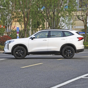 Alta calidad 2024 nuevo modelo cuarta generación GWM HAVAL H6 compacto SUV 5 asientos gasolina coche SUV para la venta - Product Image 4