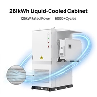 Armoire de batterie extérieure Wattsolar, armoire de batterie au lithium, 215 kWh, 241 kWh, 250 kWh, étanche IP54, garantie 10 ans+
