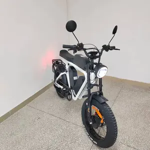 Bafang Dual Motor 52v2000w Korea Battery 66Ah Full Suspension Oil Brake Long Seat Fast Electric Bicycle Dual Motor Electric Bike