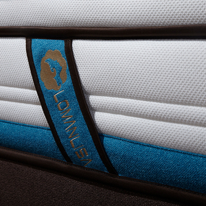 Ice silk fabric sweet dreams 100% natural bamboo latex foam mattress - Product Image 3