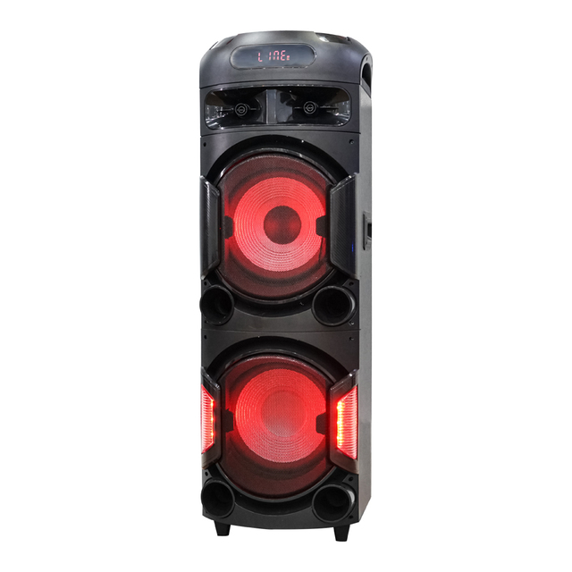 Factory Direct High Power DJ Speaker Dual 12" OEM Speaker with LED Lights