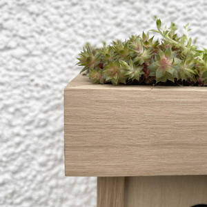 Cá Nhân Bằng Gỗ Chim Hộp Trồng Vườn Trang Trí Nội Thất Gỗ Chim Tổ Với Trồng Mái Nhà Chim Nhà Gỗ - Product Image 4