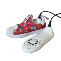 ODM déshumidifier le sèche-gant de ski sèche-chaussures avec minuterie chauffe-chaussures électrique portable
