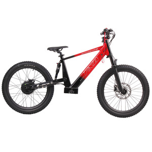 Motocicleta Todoterreno de 1500W 48V de Gran Potencia con Batería Extraíble, Motocicleta de Cross, Pit Bike, Moto para Niños - Product Image 1