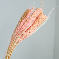 Bunga Kering Millet Kecil yang Diwarnai, Buket Bunga Asli, Bahan Rangkaian Bunga Gaya Rustic untuk DIY, Dekorasi Rumah