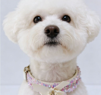 Collier pour chien et chat de style princesse moderne, réglable, solide, durable, en PU écologique, accessoires pour animaux de compagnie