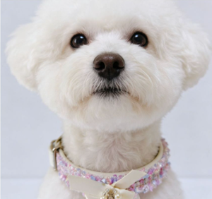 Collier pour chien et chat de style princesse moderne, réglable, solide, durable, en PU écologique, accessoires pour animaux de compagnie - Product Image 1