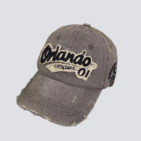 Gorra de Béisbol de Lona de Algodón Estilo Urbano con Diseño de Bordado Vintage de Frutas, Ajustable, Unisex, para Deportes al Aire Libre