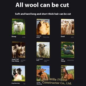 Tosatrice elettrica per <span class=keywords><strong>cani</strong></span> in lana di pecora ad alta potenza speciale macchina da rasatura per toelettatura spazzole per pulizia facile incluso - Product Image 2