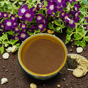 Cấp thực phẩm <span class=keywords><strong>Maca</strong></span> chiết xuất 50:1 tỷ lệ đa đặc điểm kỹ thuật Nâu bột màu vàng chân không chế biến - Product Image 5