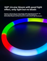 Tube néon LED flexible en silicone programmable DMX à 360 degrés, lumière de corde noire 12V 24V IP67 étanche pour décoration de scène DJ