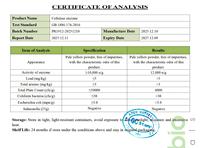 Poudre d'enzyme cellulase de qualité alimentaire 10 000 U/g pour le traitement des jus et de la pâtisserie