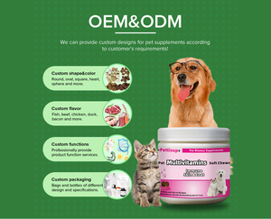 Vente en gros de compléments multivitaminés probiotiques personnalisés multifonctionnels morsures à mâcher chats et chiens soutien immunitaire naturel - Product Image 5