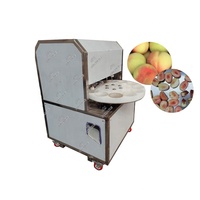 Hoge capaciteit perzikontpitter, fruitpit-scheidingsapparatuur voor blikjesperzikfabrieken & productie van fruitconserven
