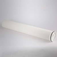 Cartouche filtrante à membrane de charbon actif de 30 pouces pour les systèmes de traitement de l'eau industriels et commerciaux