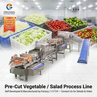 Wasmachine voor verse groenten en fruit, 1-3T/H, eigen fabrieksontwerp en -productie voor verse snijgroenten en saladeplanten