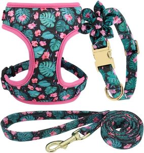 Personalized OEM ODM Eco-Friendly Dog Harness Set Fur Trim Neoprene Padded Polyester Custom Design Matching Collar Leash Set - Product Image 1