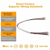 Harness Kabel FFC LVDS 50-Pin dan Pin Pogo Magnetik Profesional untuk Kontrol Motor dan Sistem Tampilan Industri