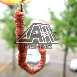 นักล่าโบราณหนอนทรายน้ำเค็ม,เหยื่อล่อล่อ<span class=keywords><strong>ปลา</strong></span>ทะเลแบบนิ่มเหยื่อหนอนทรายหนอนแห้งเหยื่อล่อ<span class=keywords><strong>ปลา</strong></span>เบทซูลสำหรับ<span class=keywords><strong>ตก</strong></span><span class=keywords><strong>ปลา</strong></span>เพสก้า - Product Image 5