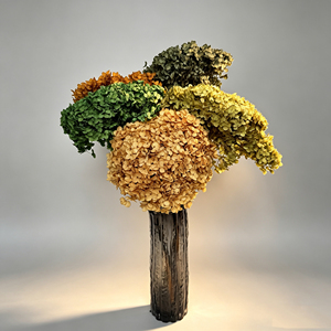 Vente directe d'usine, hortensias conservés avec branches, <span class=keywords><strong>fleurs</strong></span> décoratives pour la Saint-Valentin, la <span class=keywords><strong>fête</strong></span> <span class=keywords><strong>des</strong></span> <span class=keywords><strong>mères</strong></span>, la remise <span class=keywords><strong>des</strong></span> diplômes, 40 couleurs - Product Image 4