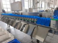 Automatische Sorteermachine Voor Appelananas-Aardappelfruit