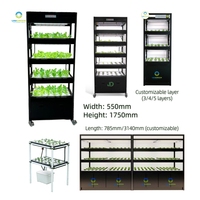 Système hydroponique DWC, armoire verticale, kit d'eau profonde, kit de plantation modulaire personnalisé et mobile pour la laitue, le bureau et la serre