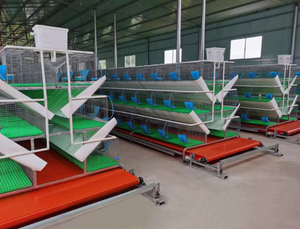 Grandes cages pour lapins bébés <span class=keywords><strong>à</strong></span> nettoyage automatique avec plancher - Product Image 4