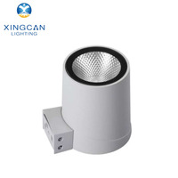 Lampes murales extérieures DMX RGB à haute luminosité IP65 en aluminium Epistar LED CRI 80 20W 50W étanches en forme de cylindre en verre trempé
